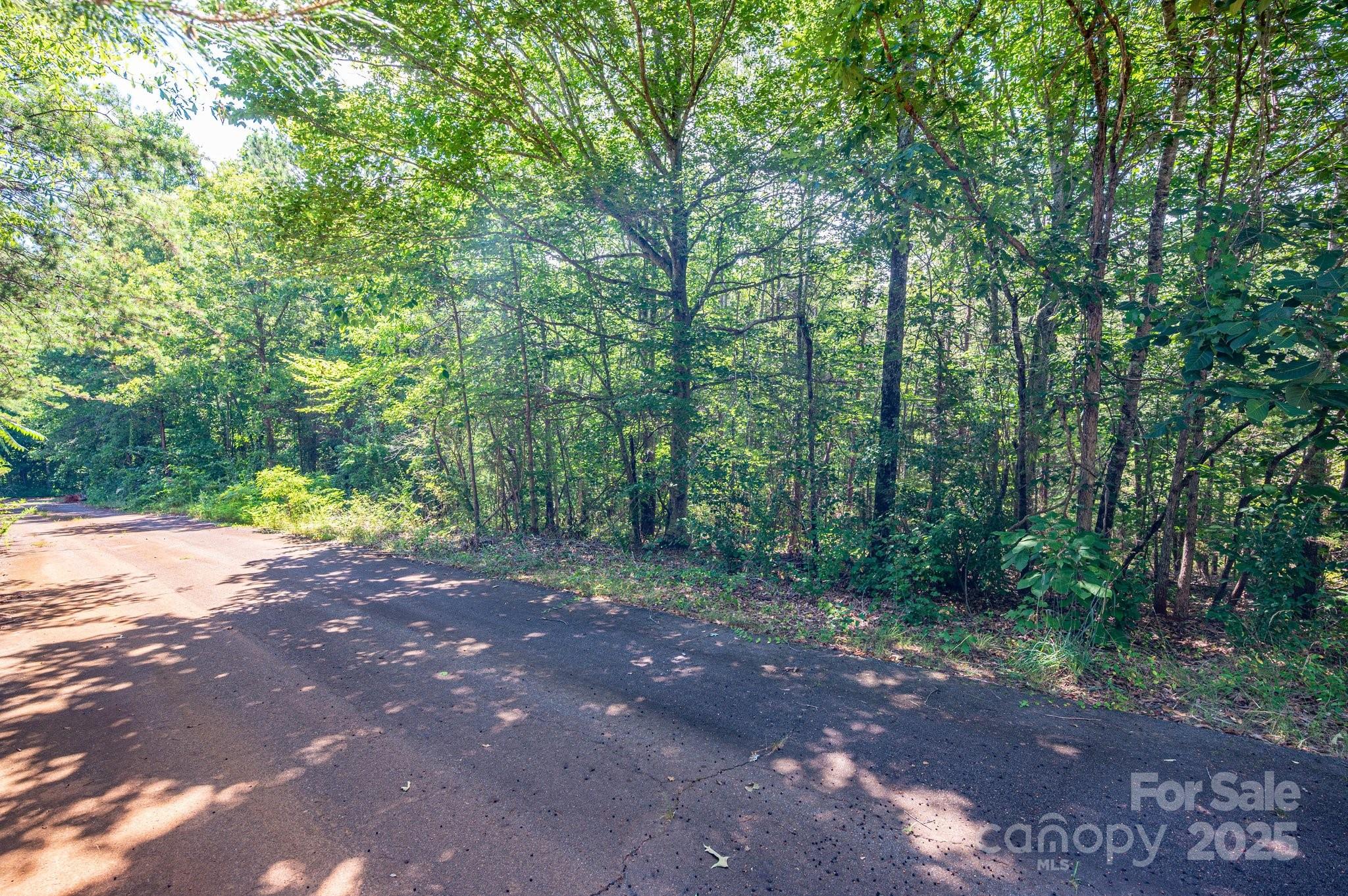 Lot # 16 Meadow Crossing Drive Property Photo 3