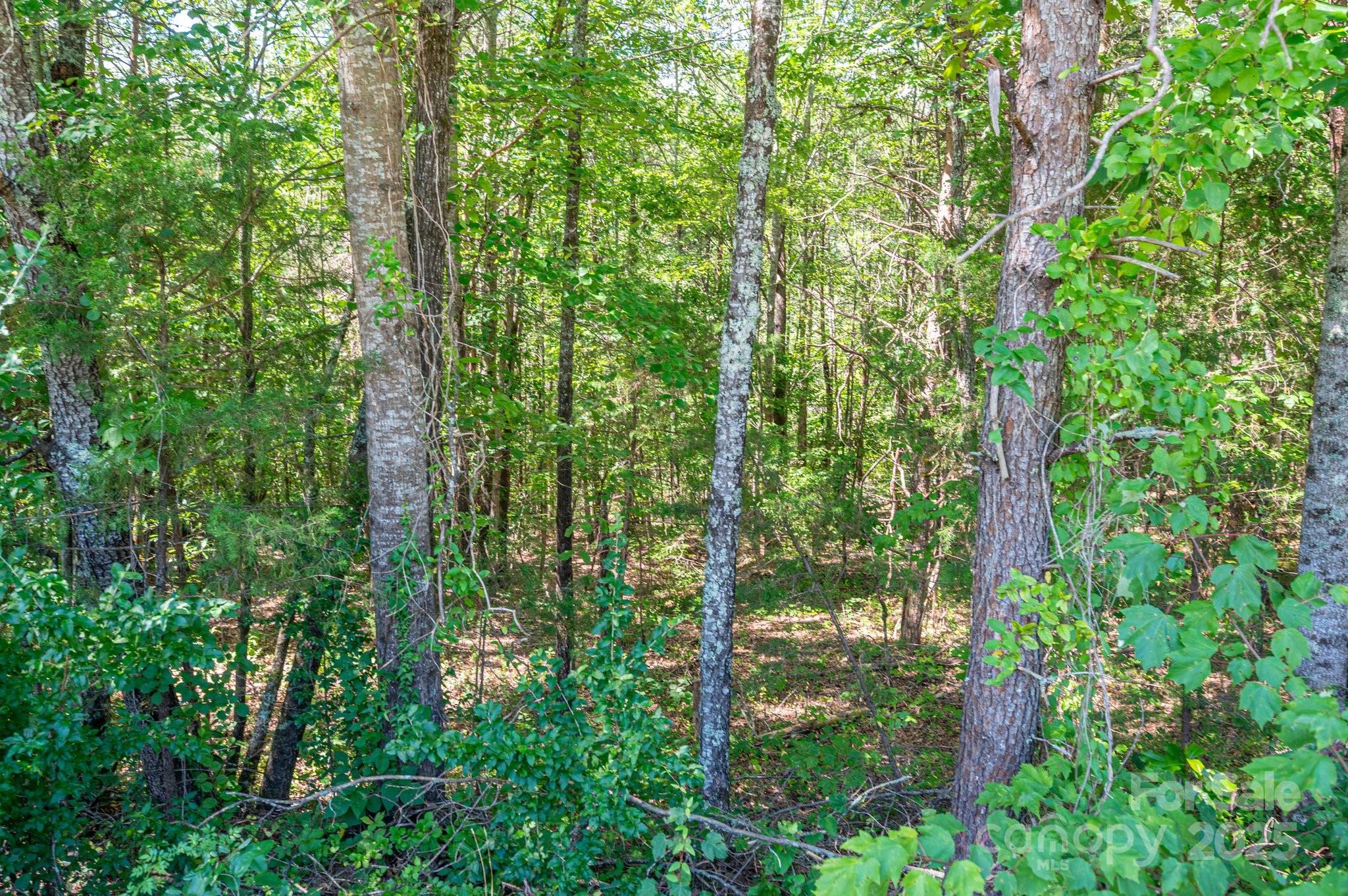 Lot 7 Meadow Crossing Drive Property Photo 1