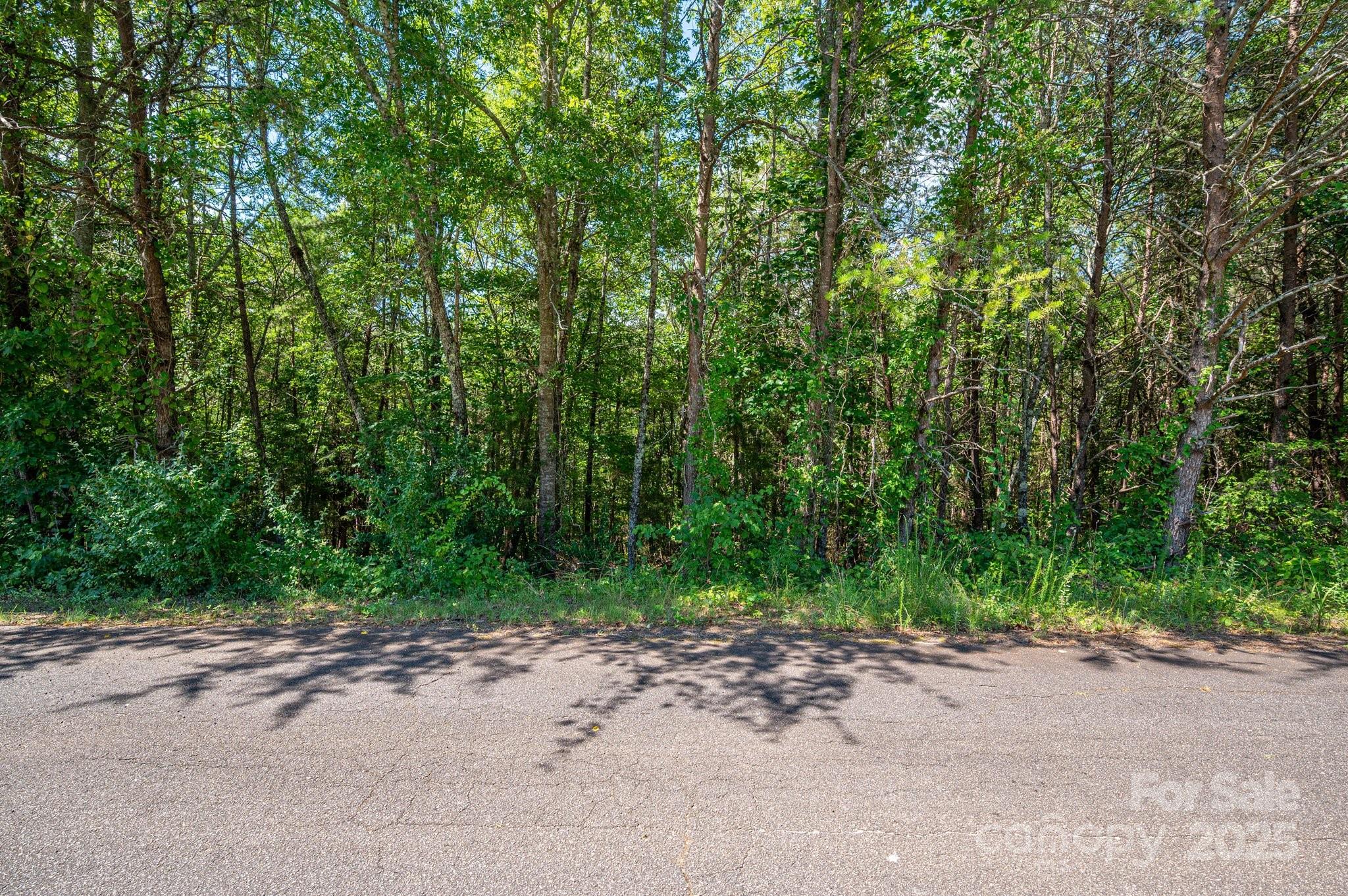 Lot 7 Meadow Crossing Drive Property Photo 5