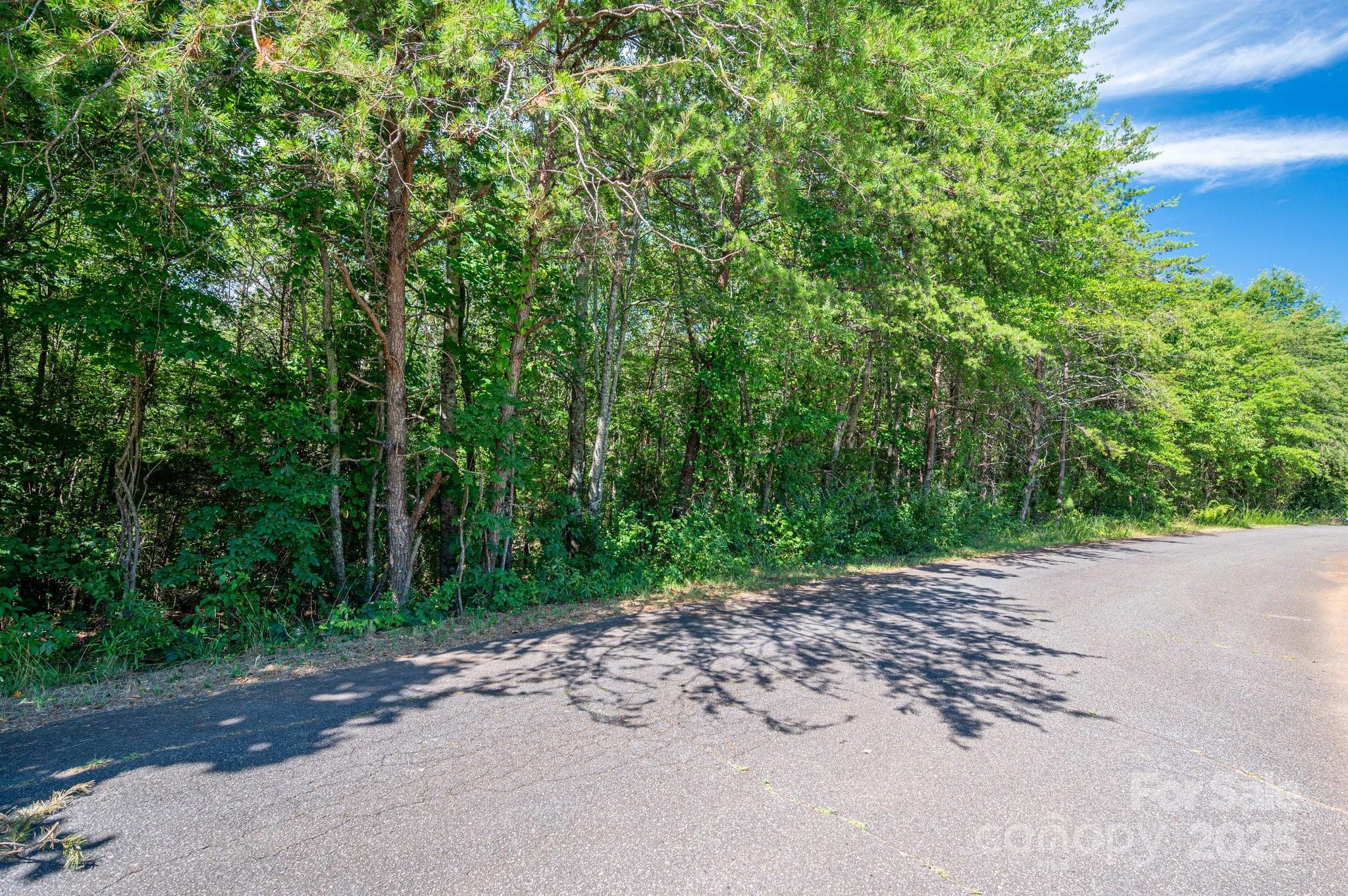 Lot 7 Meadow Crossing Drive Property Photo 12