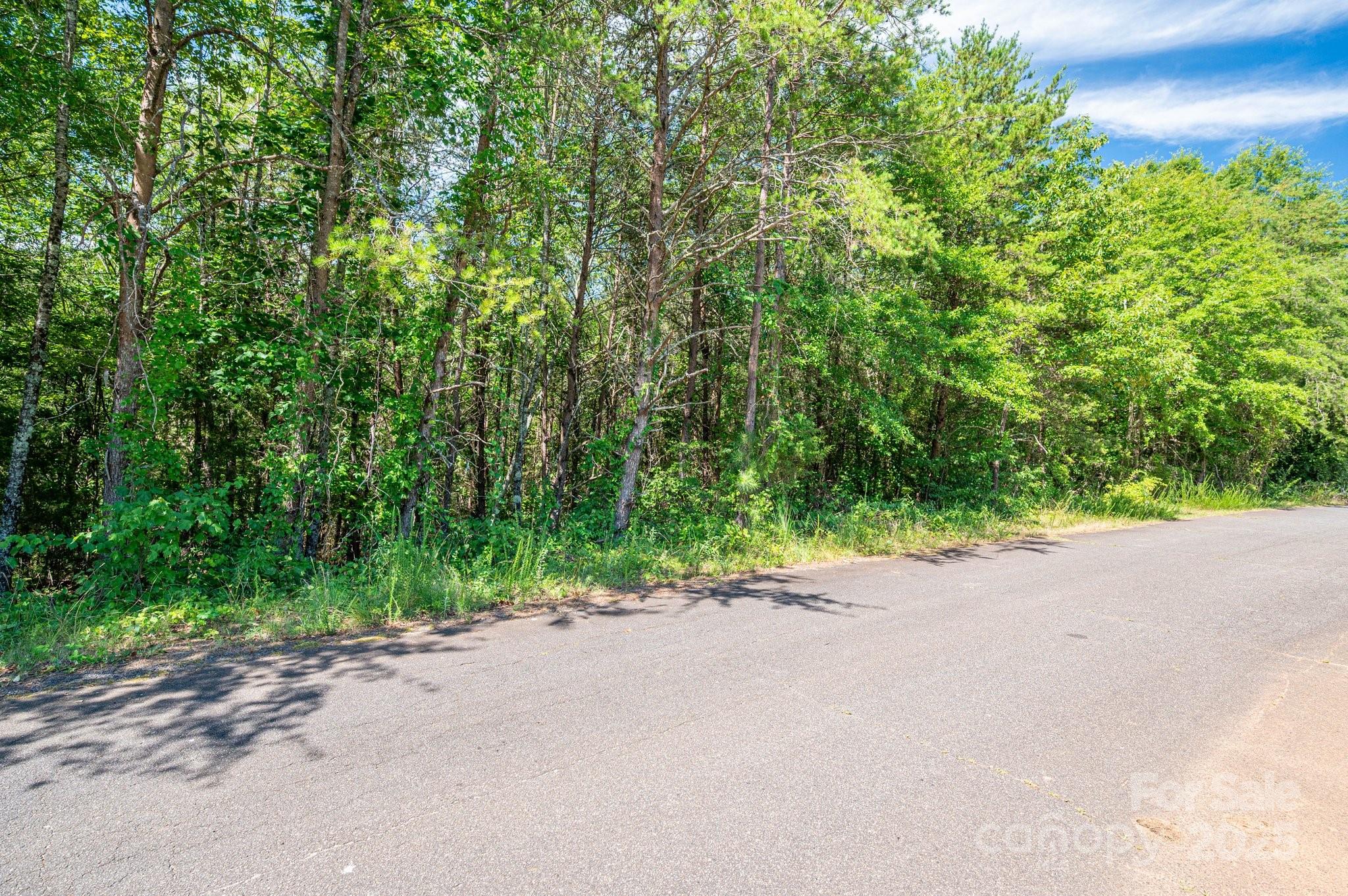 Lot 7 Meadow Crossing Drive Property Photo 14