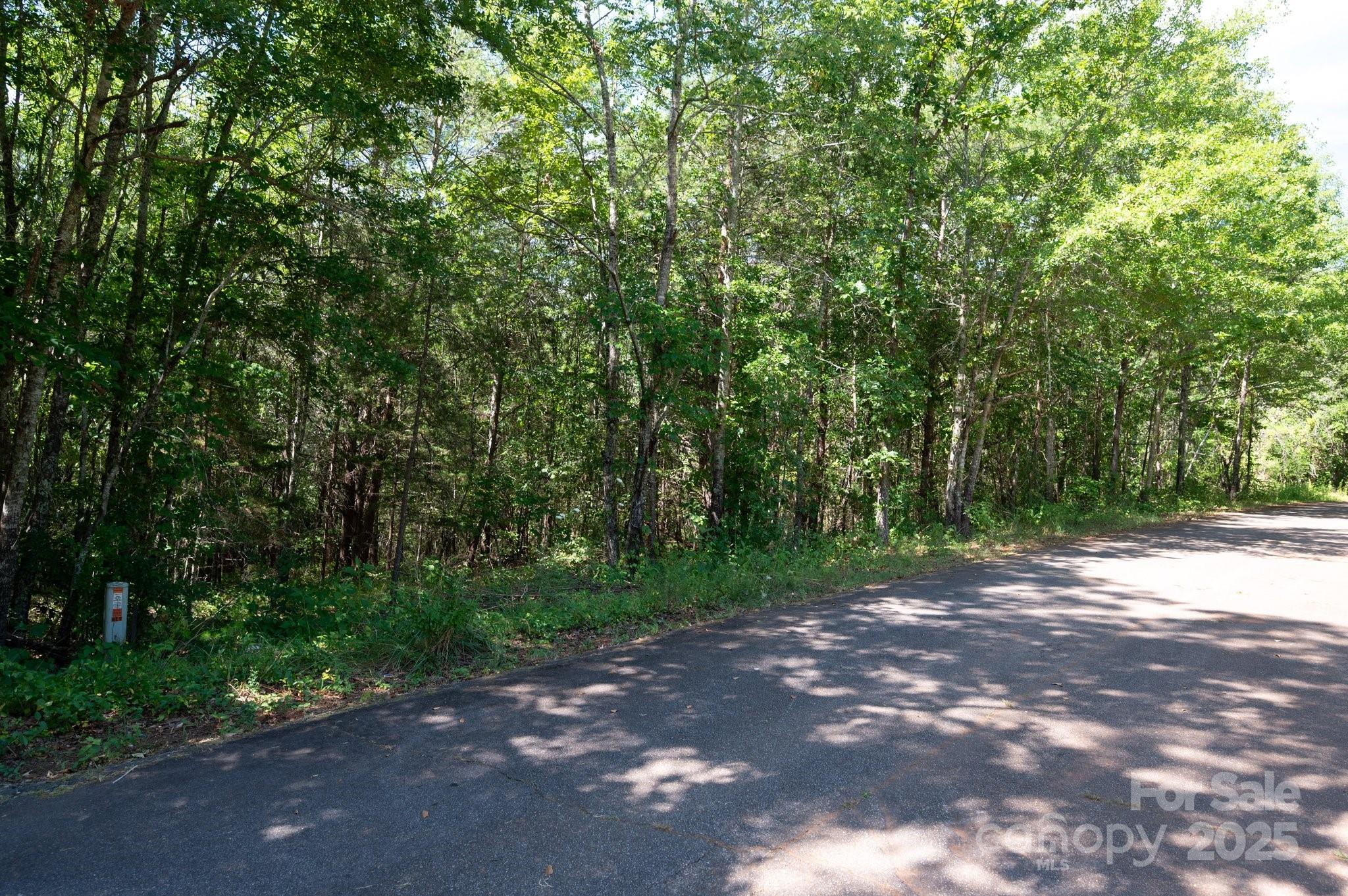 Lot # 15 Meadow Crossing Drive Property Photo 10