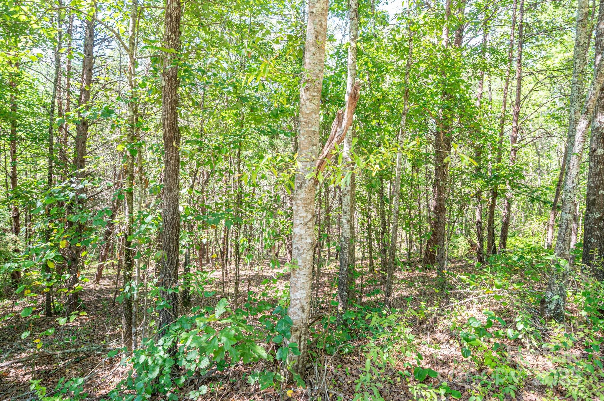 Lot # 15 Meadow Crossing Drive Property Photo 12