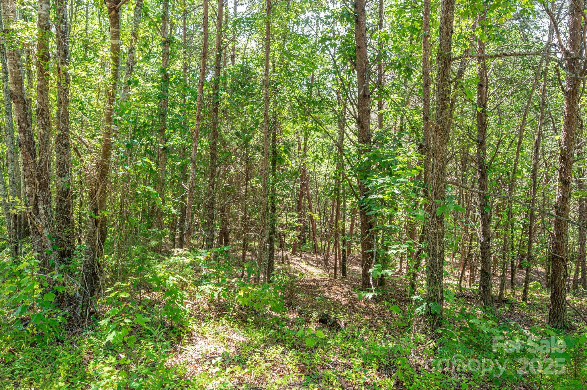 Lot # 15 Meadow Crossing Drive Property Photo 14