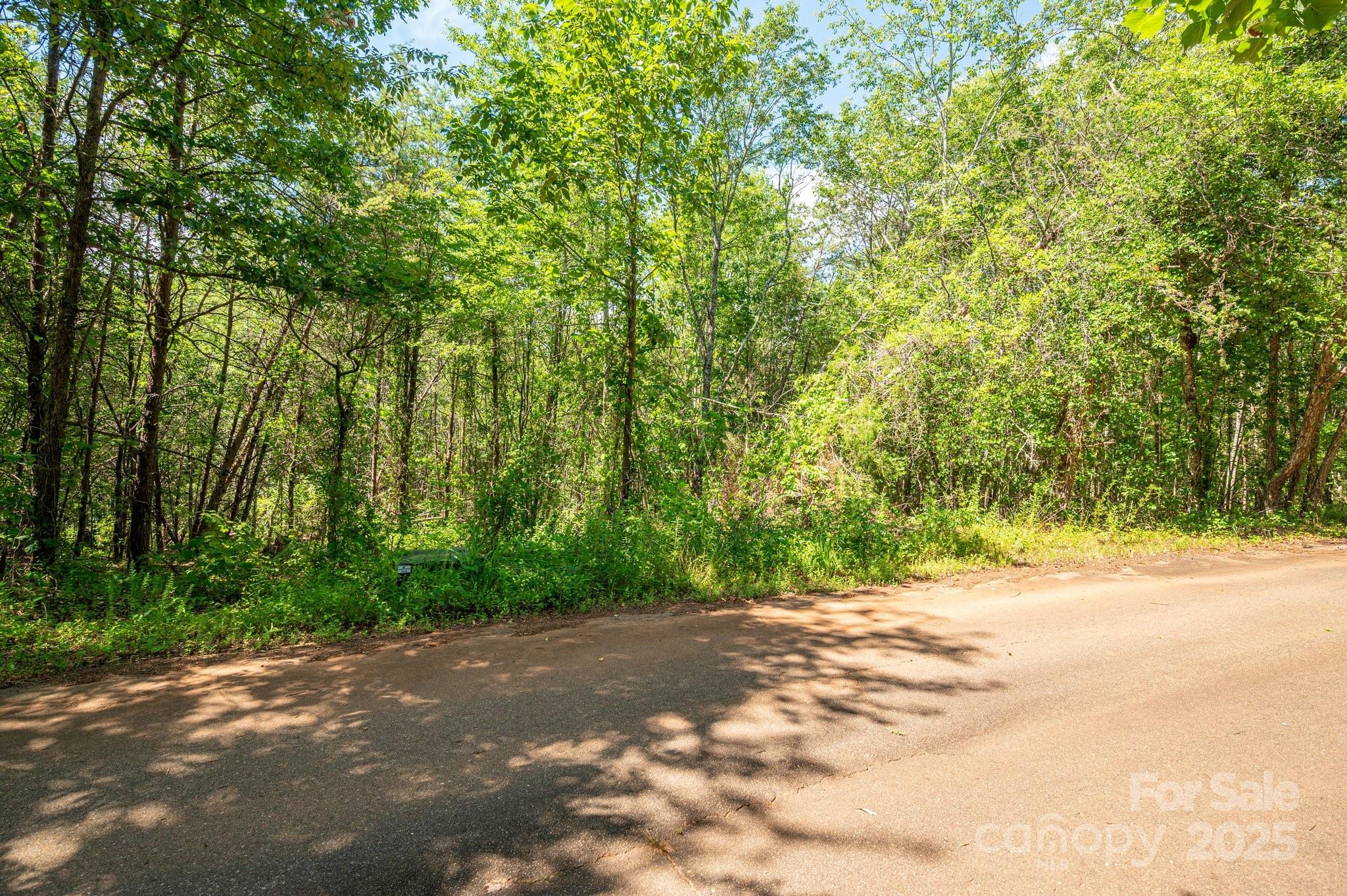 Lot #14 Meadow Crossing Drive Property Photo 3