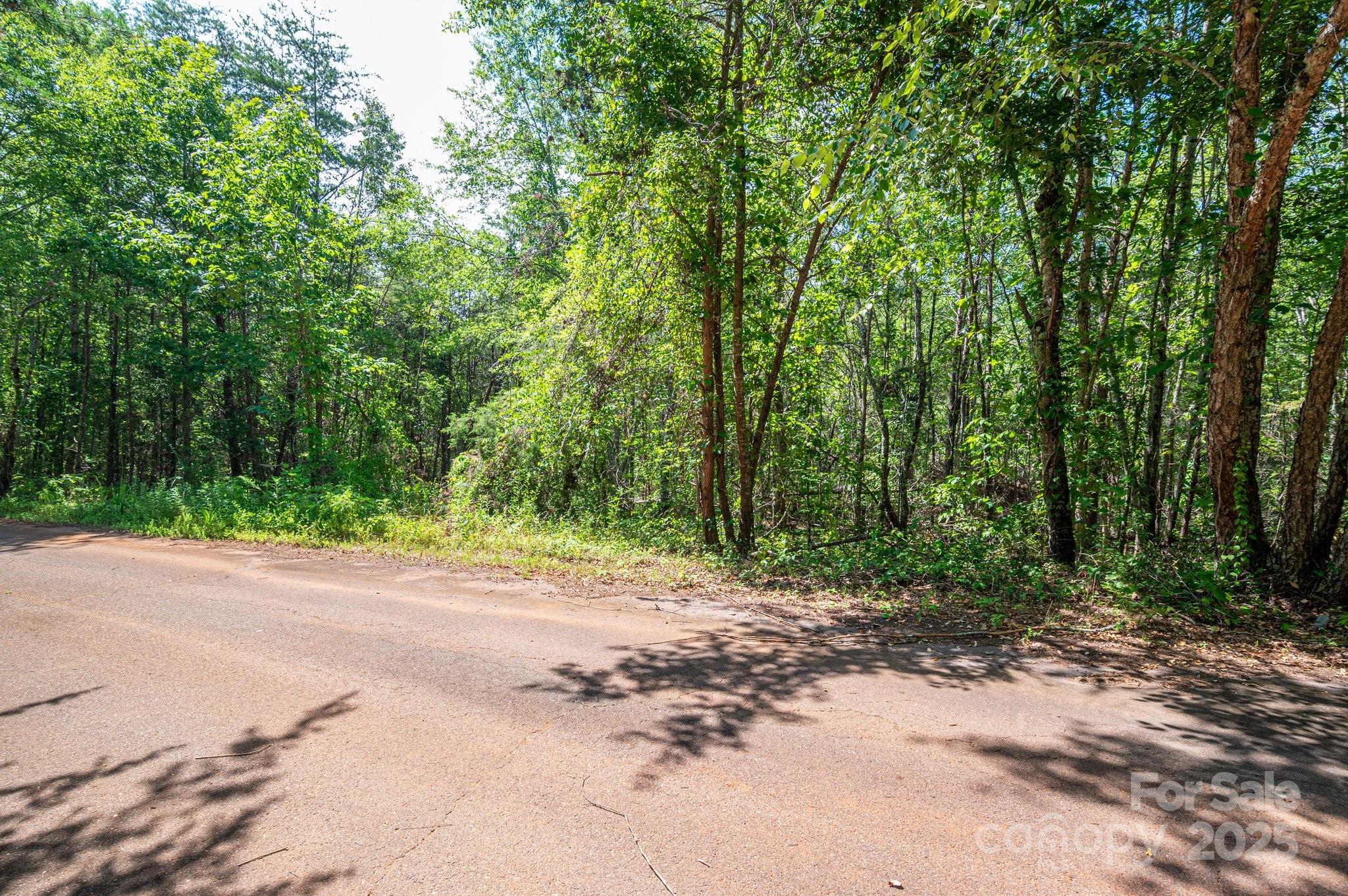 Lot #14 Meadow Crossing Drive Property Photo 13