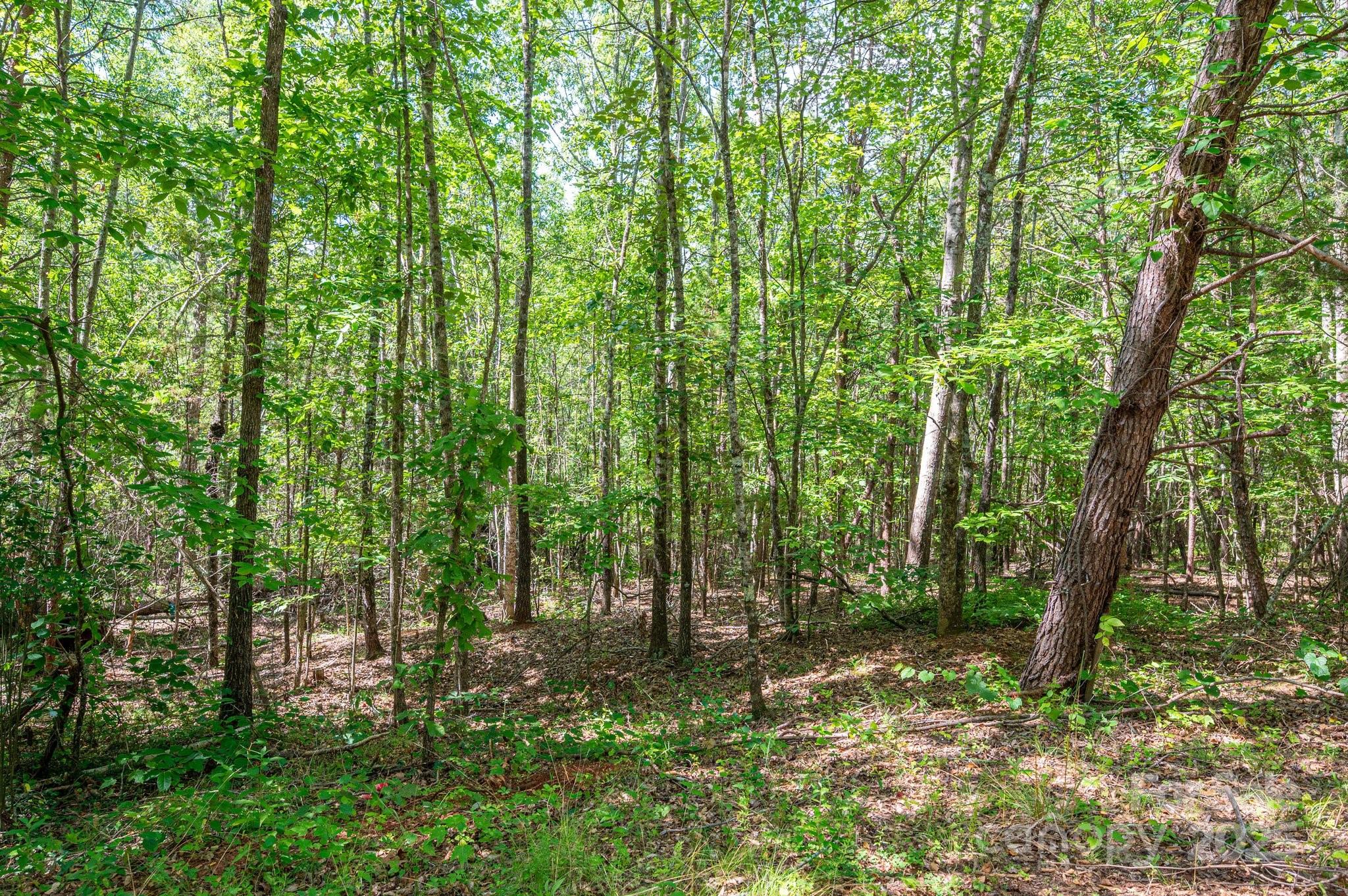 Lot #14 Meadow Crossing Drive Property Photo 15