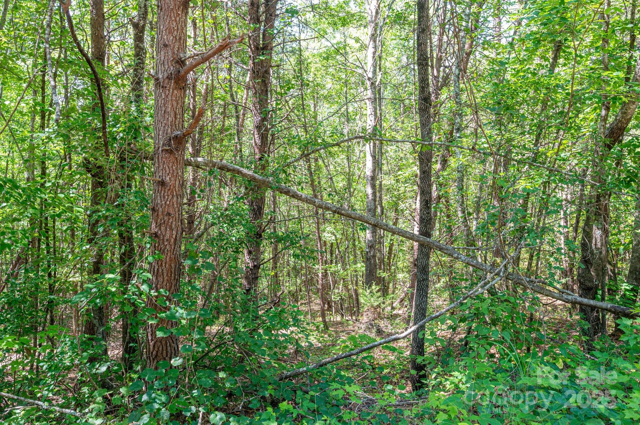 Lot #13 Meadow Crossing Drive Property Photo 1