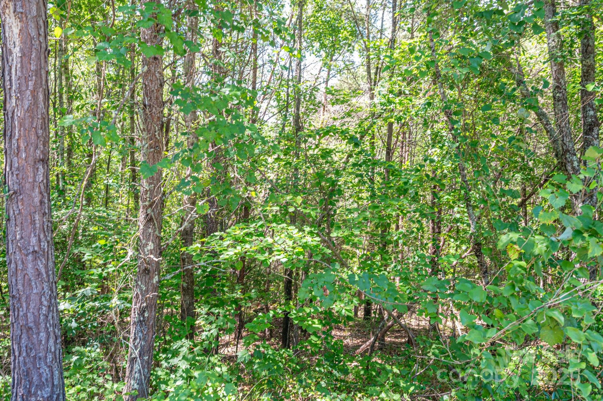 Lot #13 Meadow Crossing Drive Property Photo 4