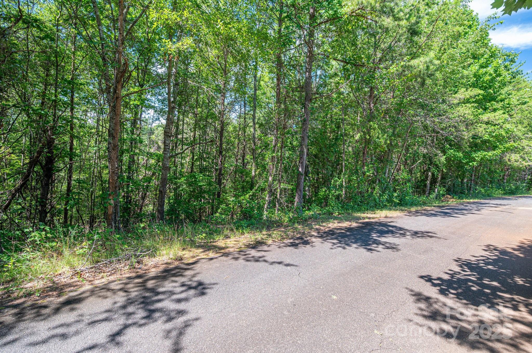 Lot #13 Meadow Crossing Drive Property Photo 13