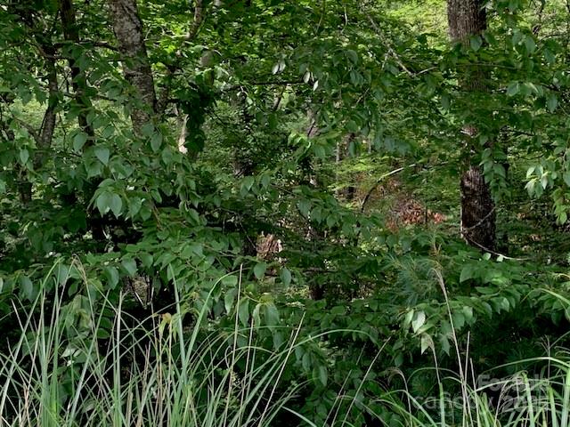 1.0ac Holbert Cove Road 2 Property Photo 2