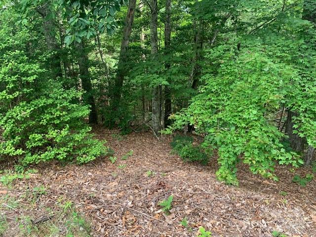 1.0ac Holbert Cove Road 2 Property Photo 7