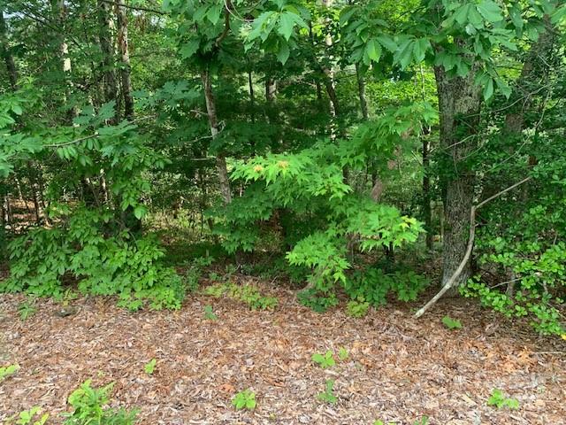 1.0ac Holbert Cove Road 2 Property Photo 8