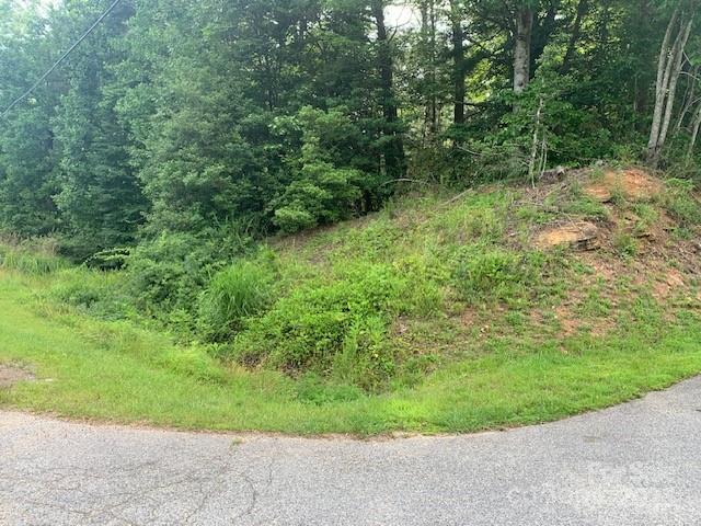 1.0ac Holbert Cove Road 2 Property Photo 10