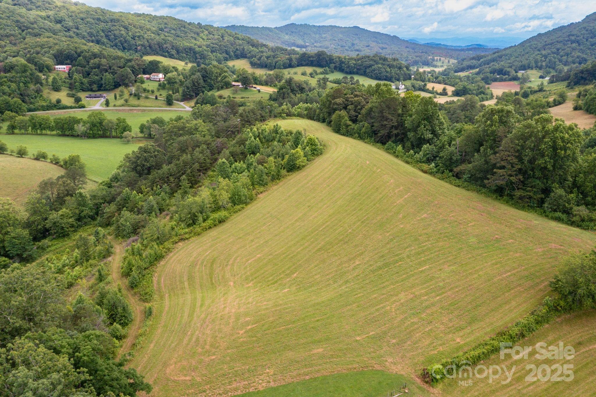 00 Potato Branch Road Property Photo 11