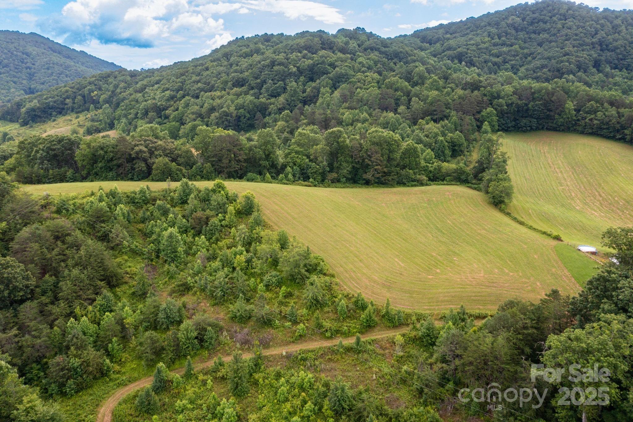 00 Potato Branch Road Property Photo 12