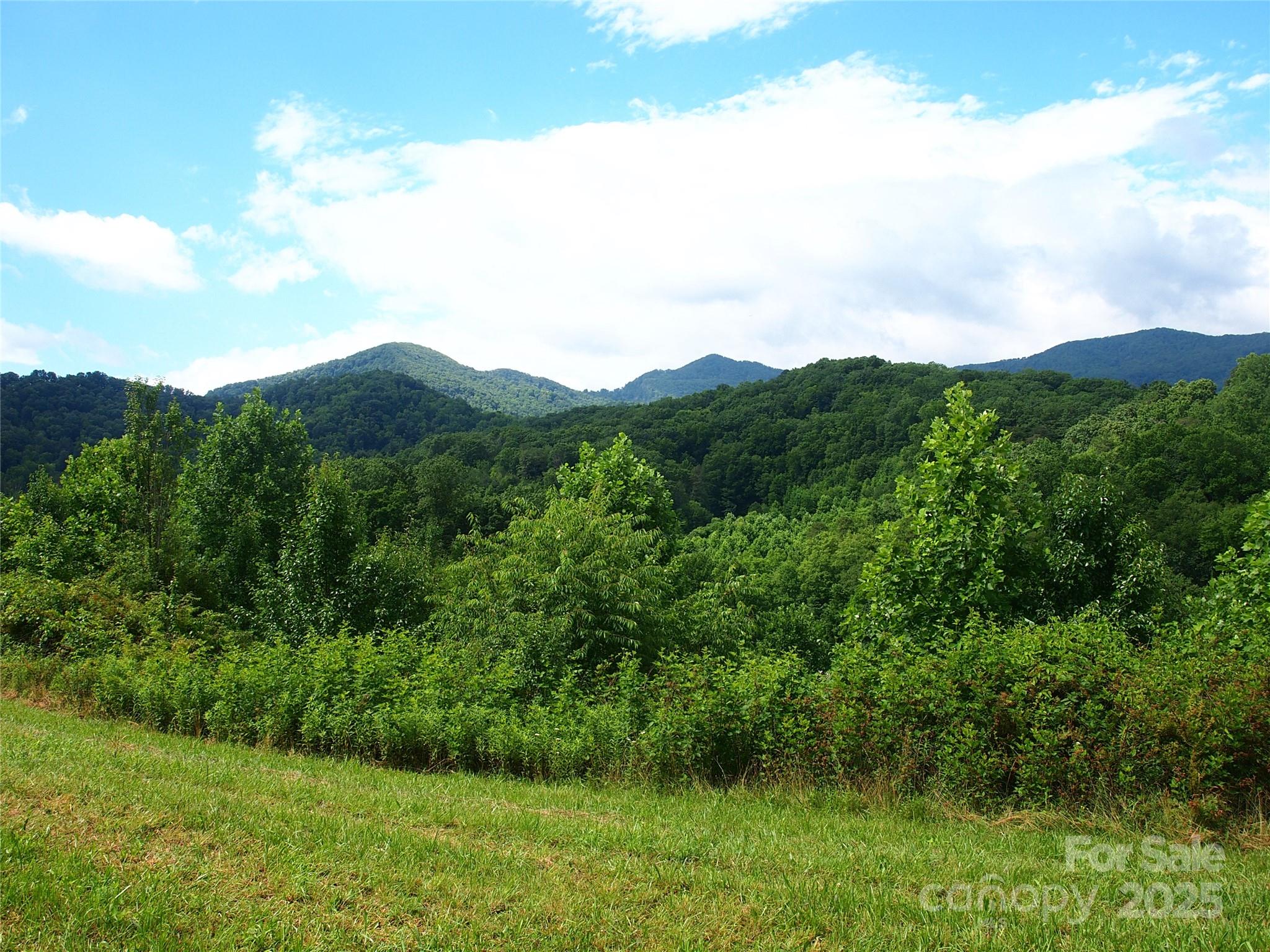 00 Potato Branch Road Property Photo 14