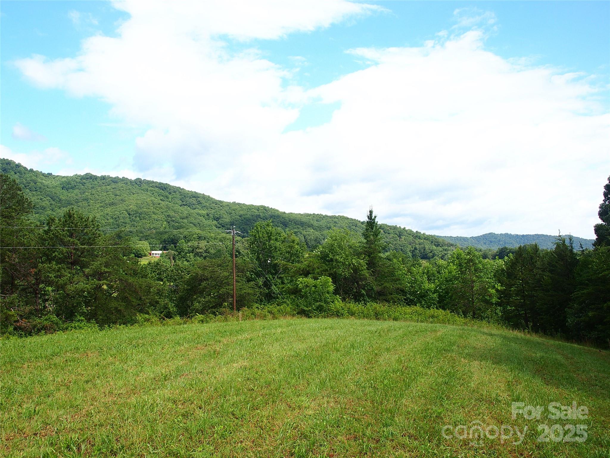 00 Potato Branch Road Property Photo 15