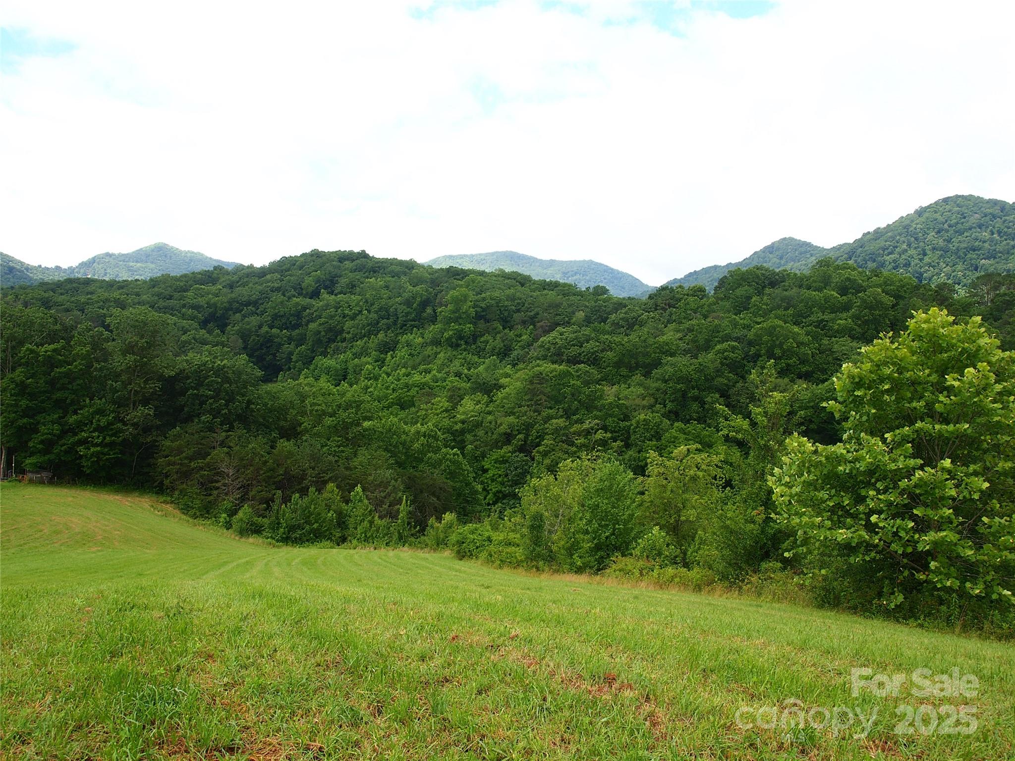00 Potato Branch Road Property Photo 17