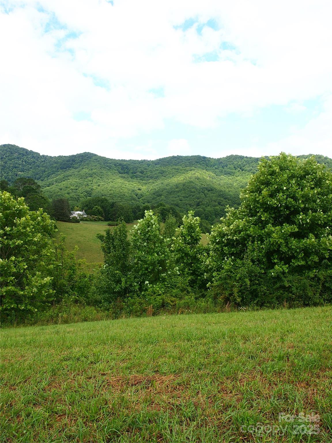 00 Potato Branch Road Property Photo 18