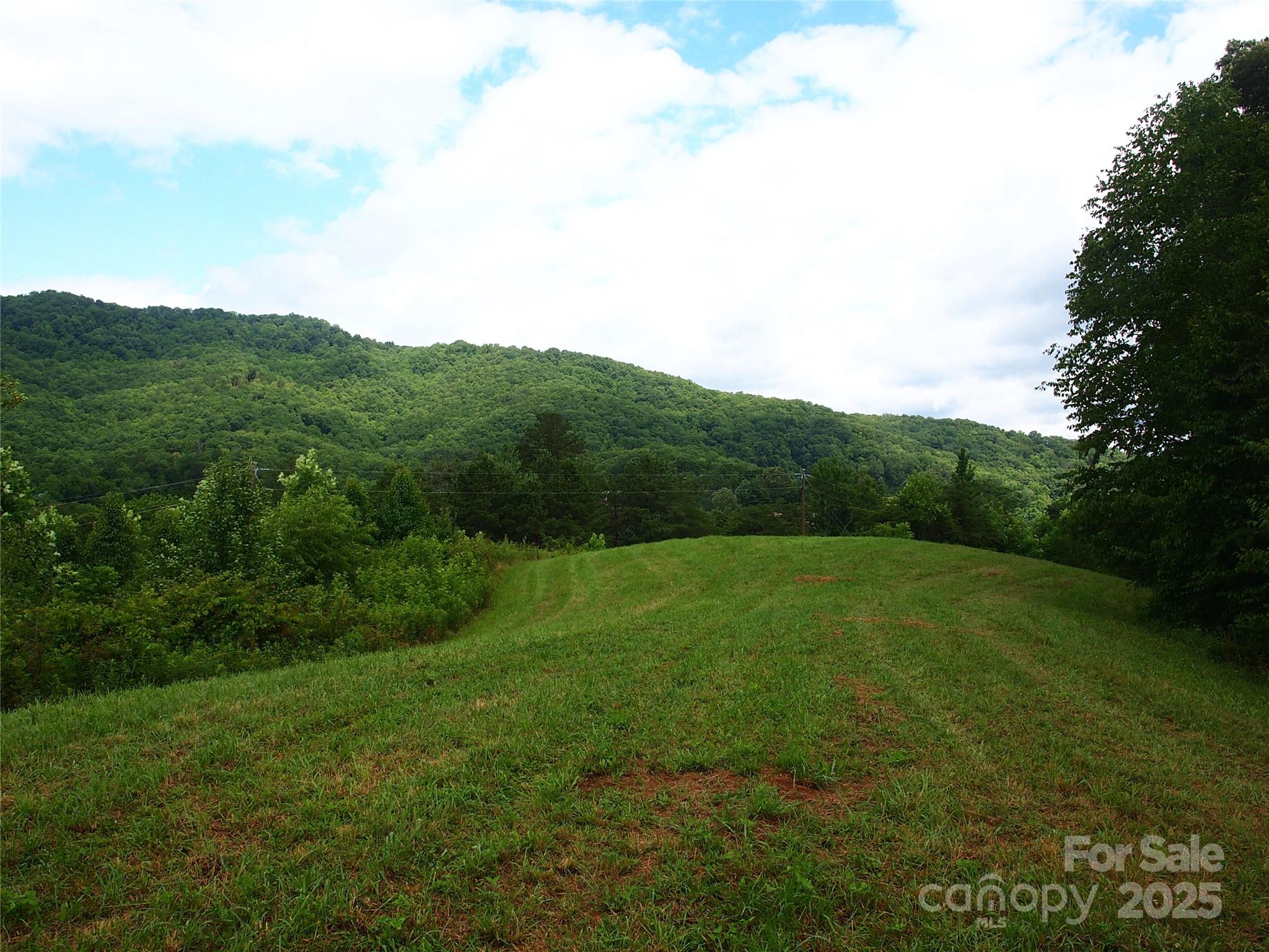 00 Potato Branch Road Property Photo 19