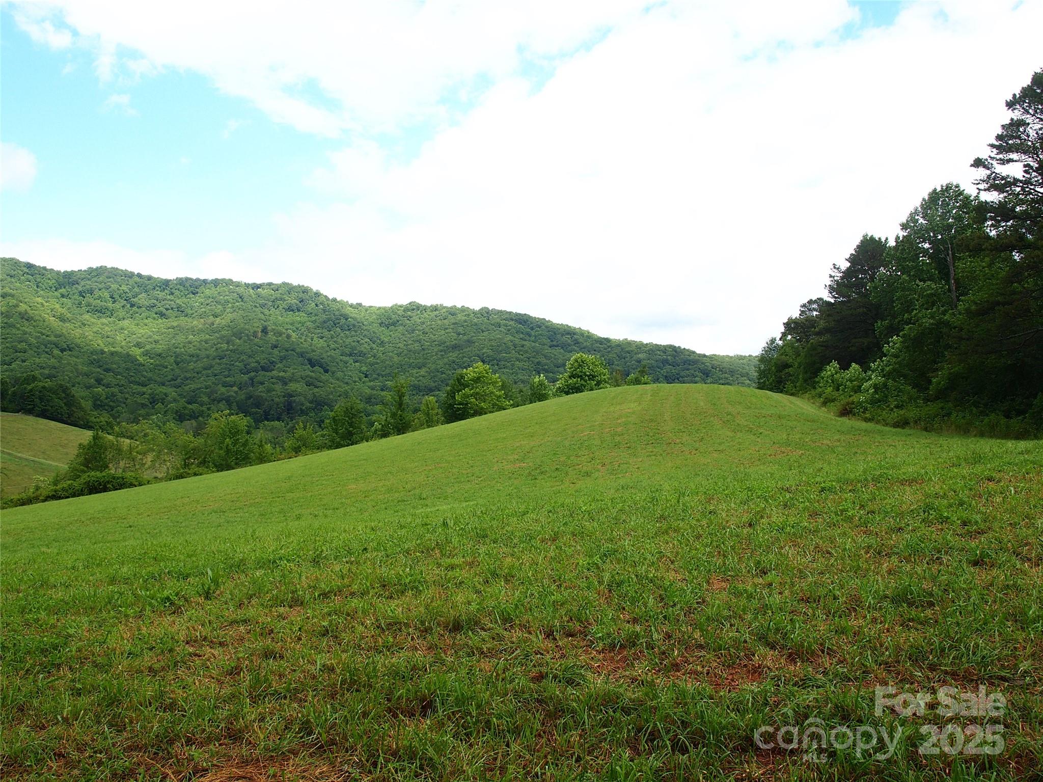 00 Potato Branch Road Property Photo 20
