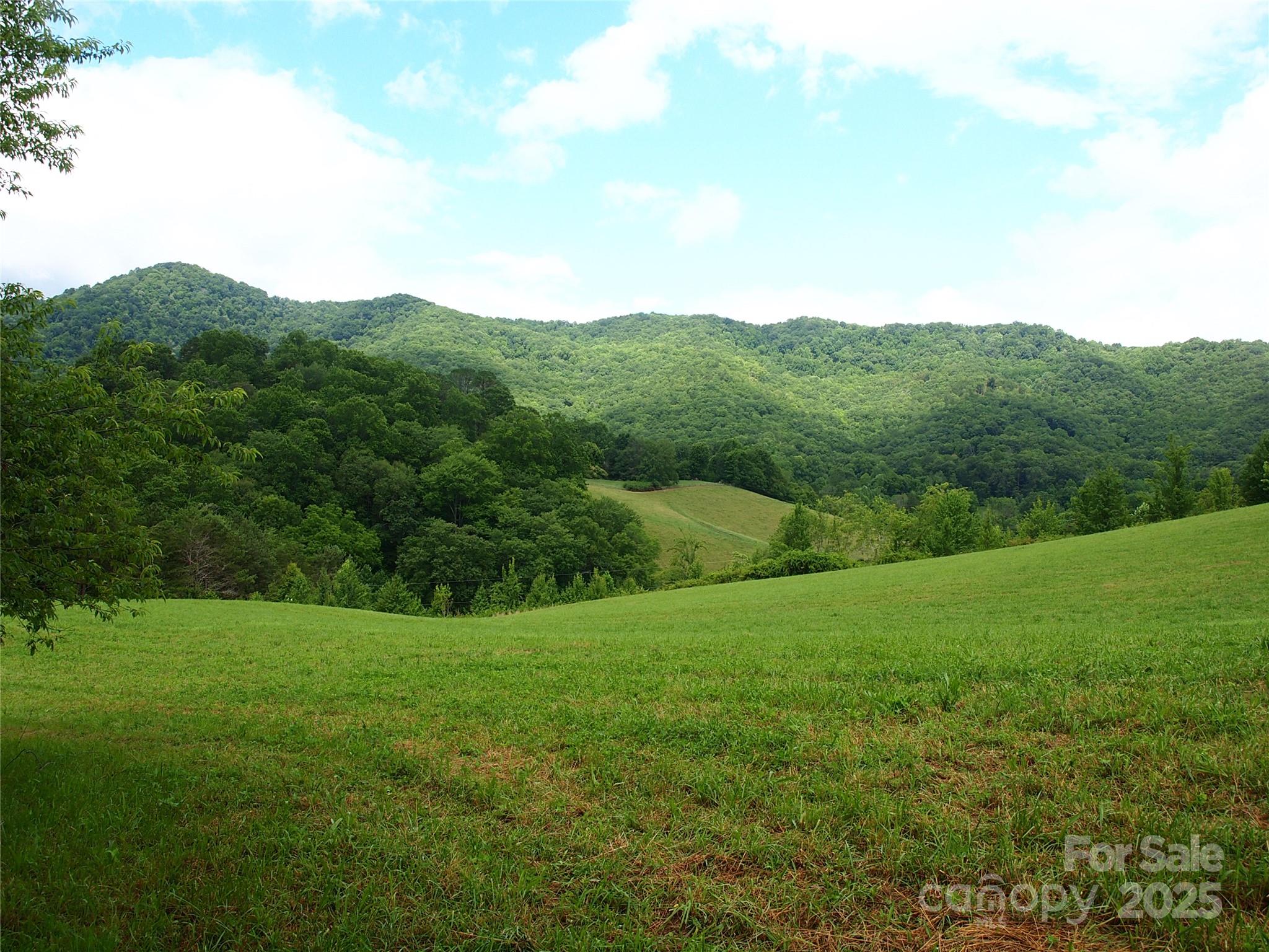 00 Potato Branch Road Property Photo 21