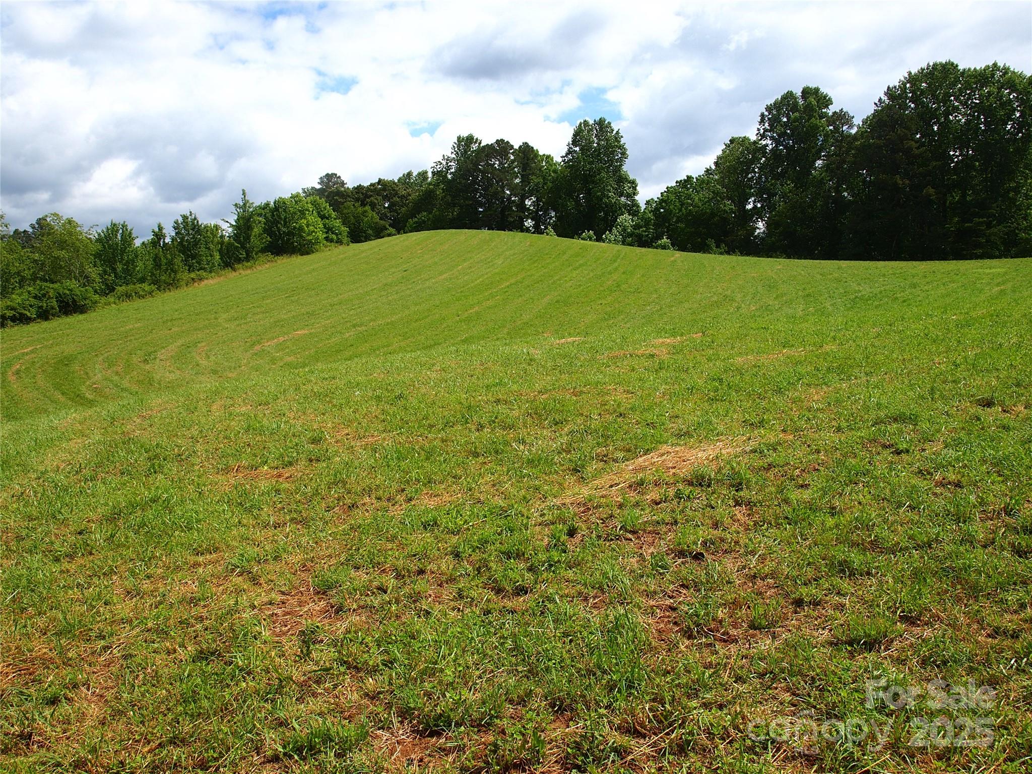 00 Potato Branch Road Property Photo 23