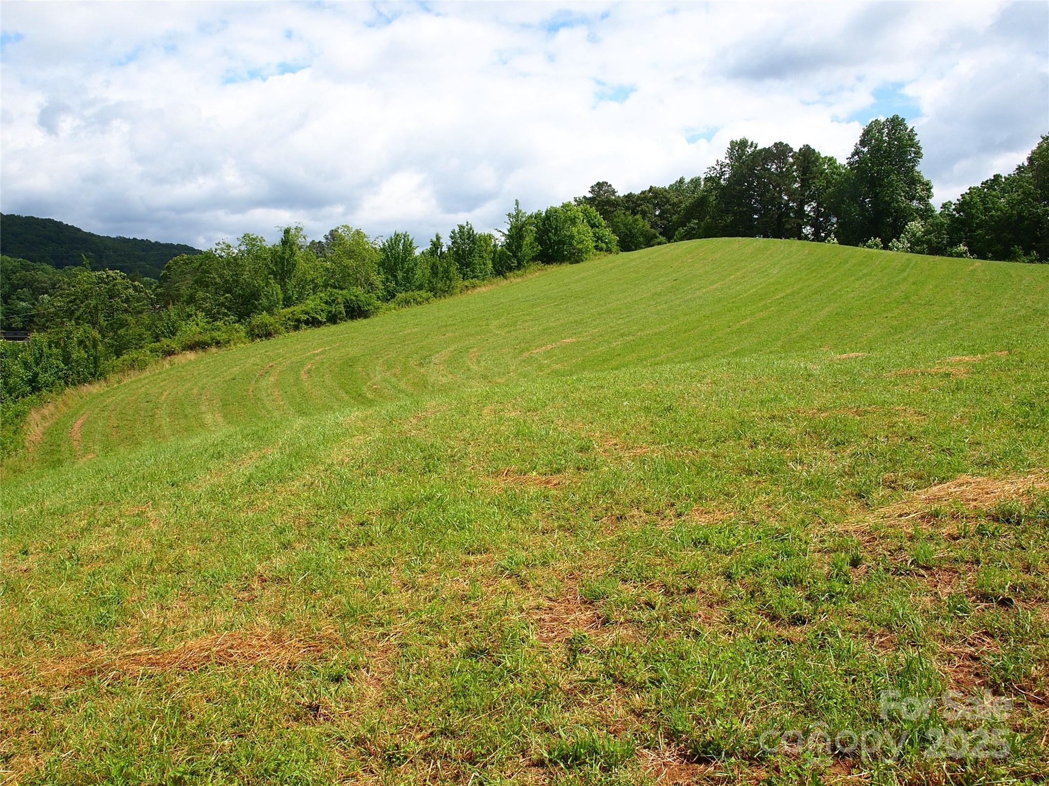 00 Potato Branch Road Property Photo 24