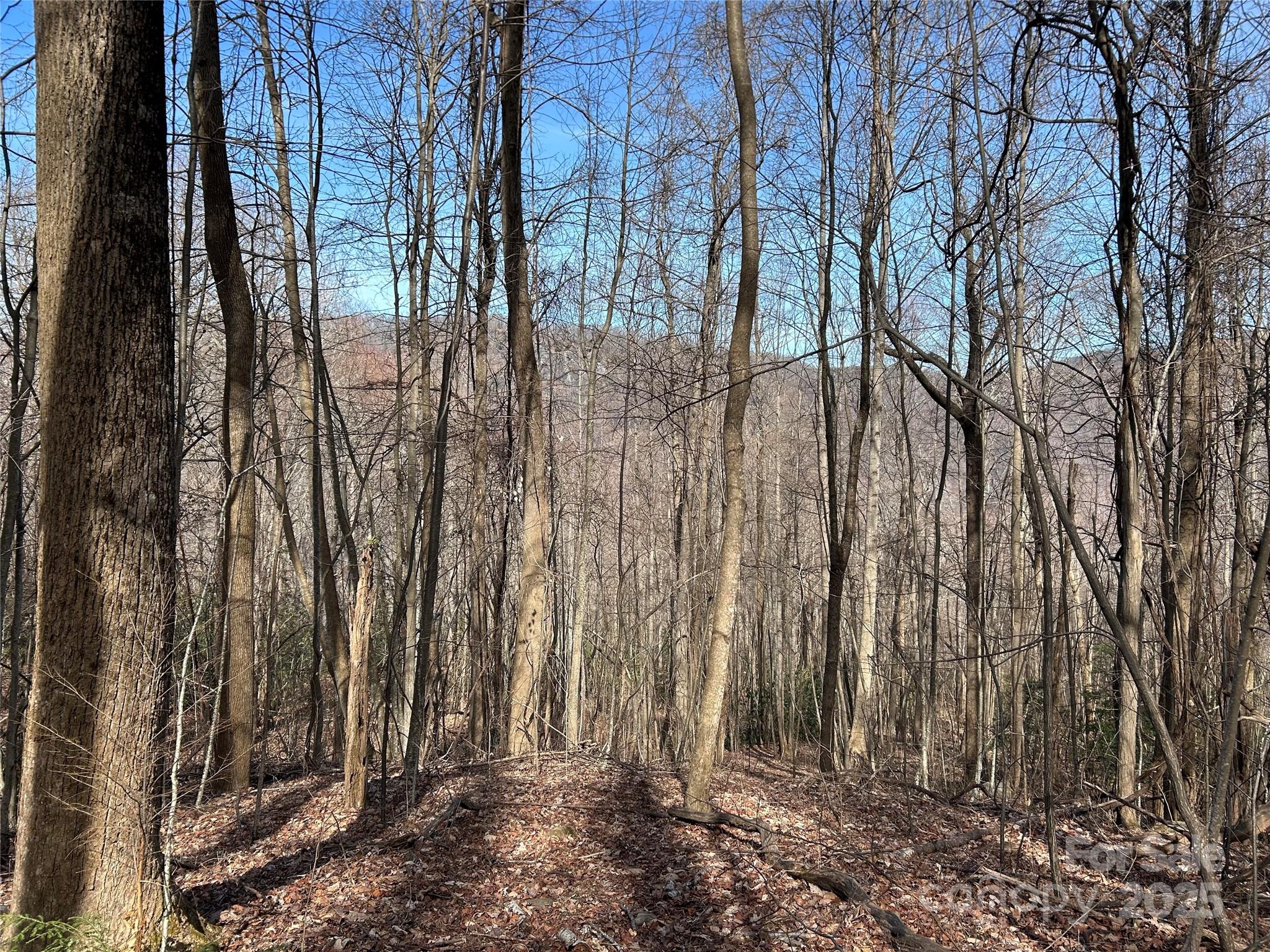 Tbd Country Club Road Property Photo 3
