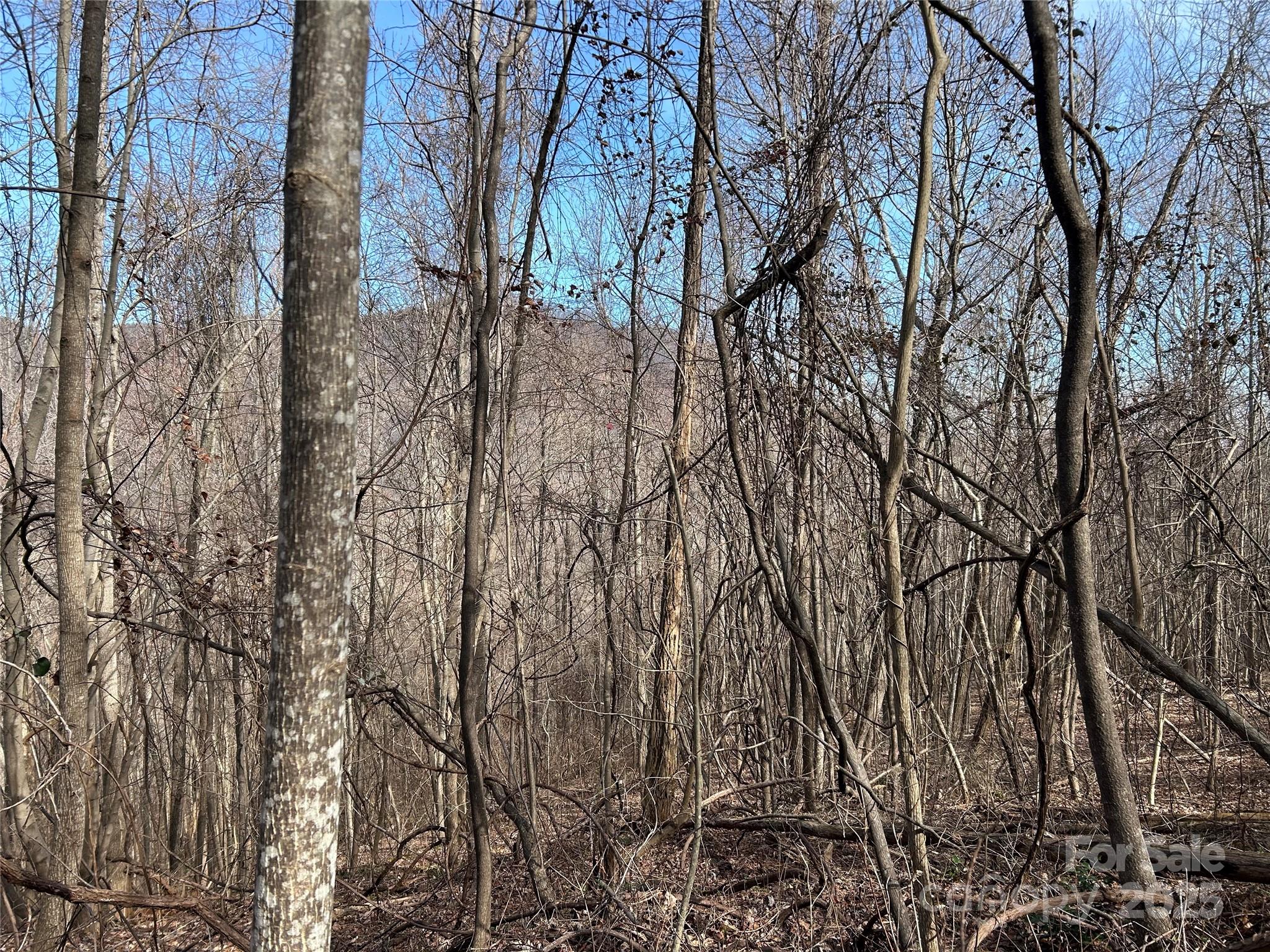 Tbd Country Club Road Property Photo 6