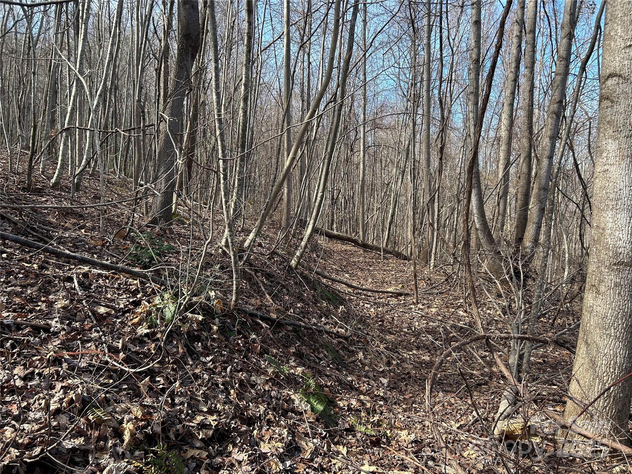 Tbd Country Club Road Property Photo 7
