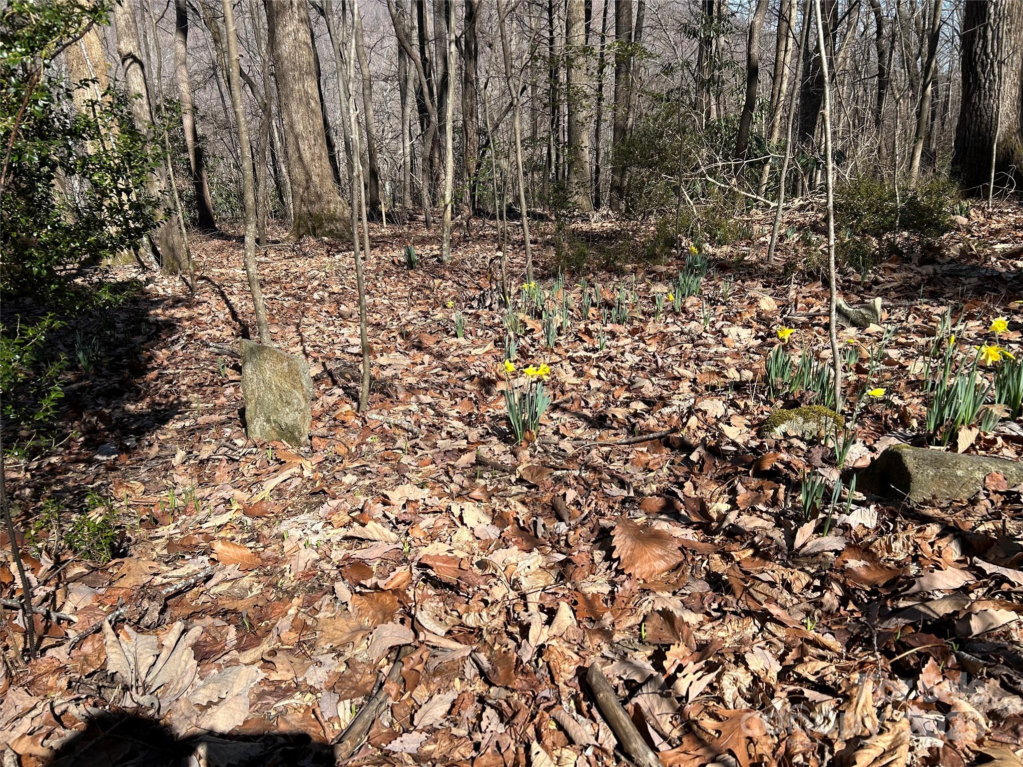 Tbd Country Club Road Property Photo 9