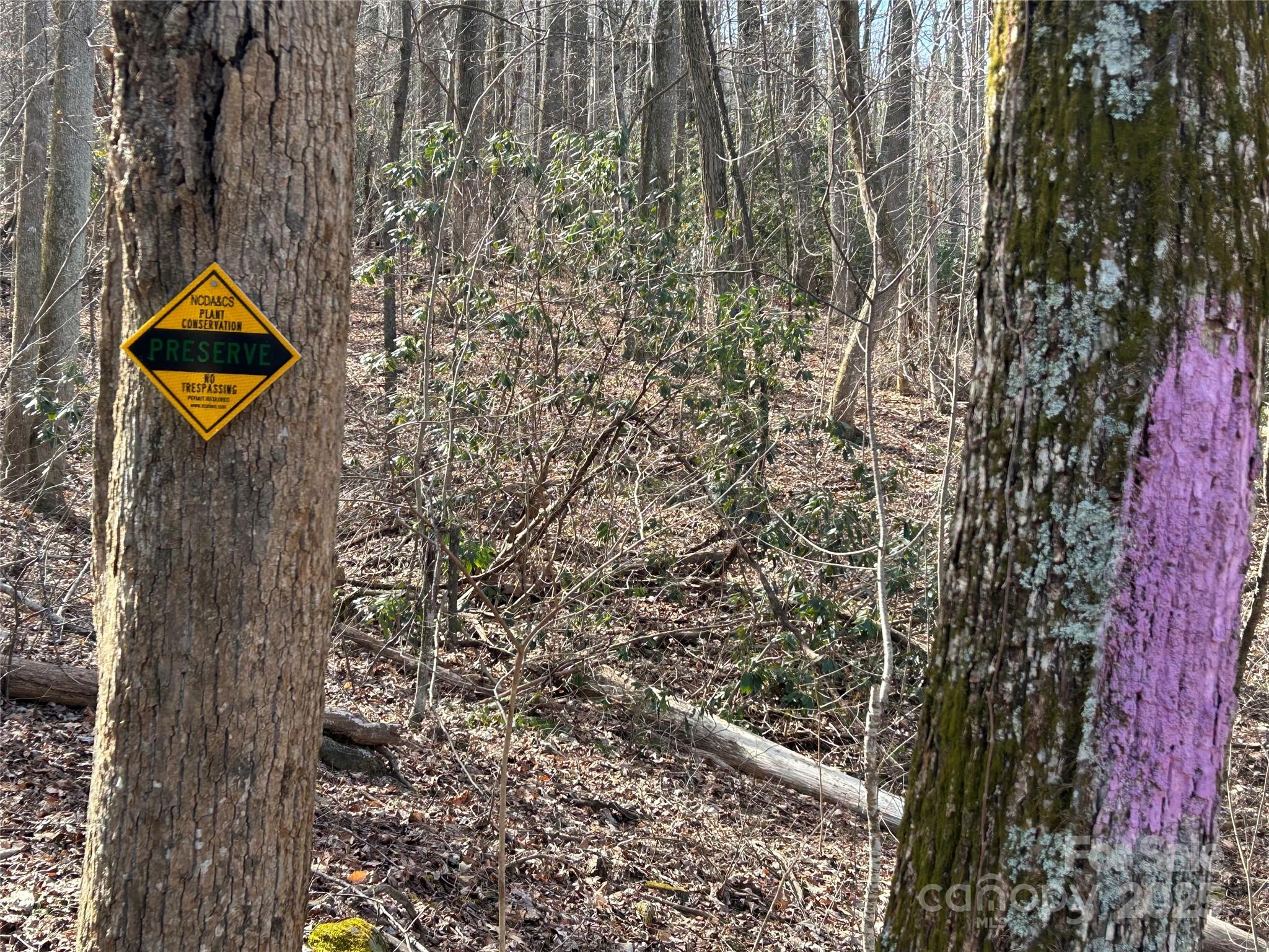 Tbd Country Club Road Property Photo 10