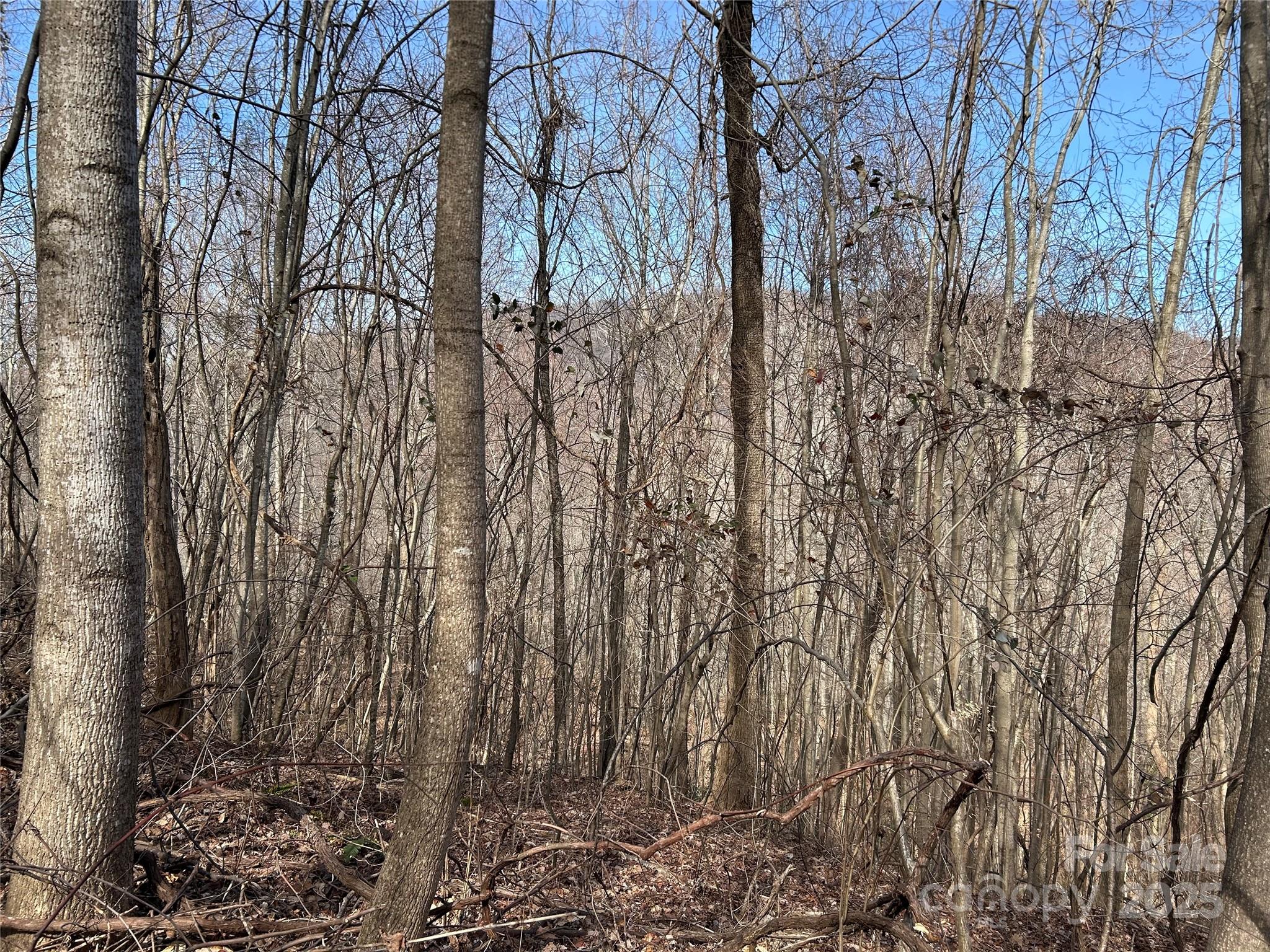 Tbd Country Club Road Property Photo 14