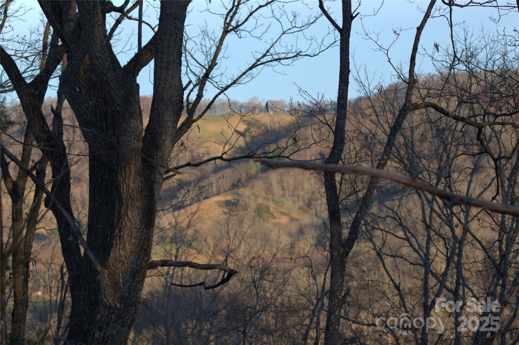 54 Bittersweet Trail Property Photo 36