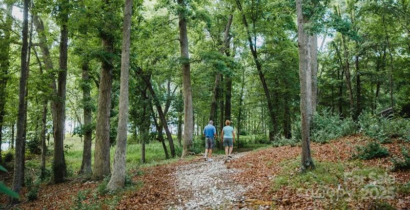 14229 Roe Buck Meadow Lane Property Photo 11