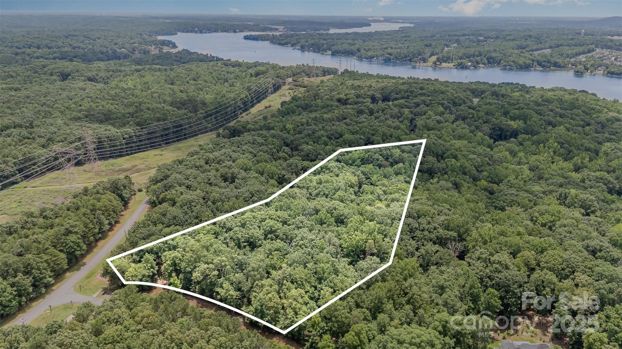 14229 Roe Buck Meadow Lane Property Photo 12