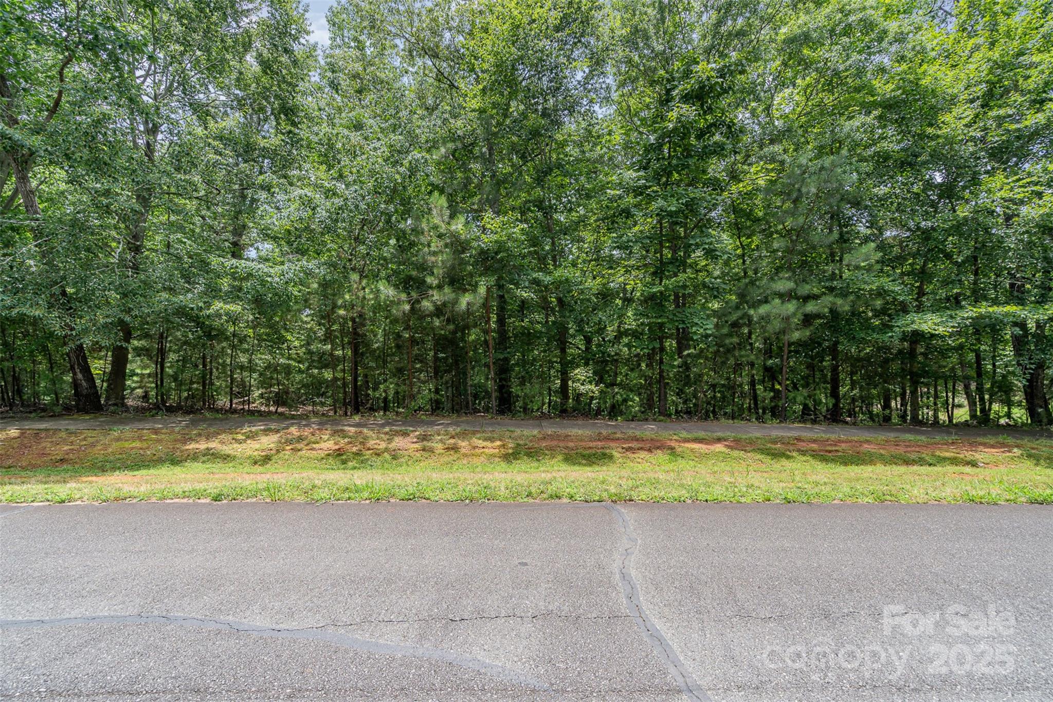 14229 Roe Buck Meadow Lane Property Photo 19