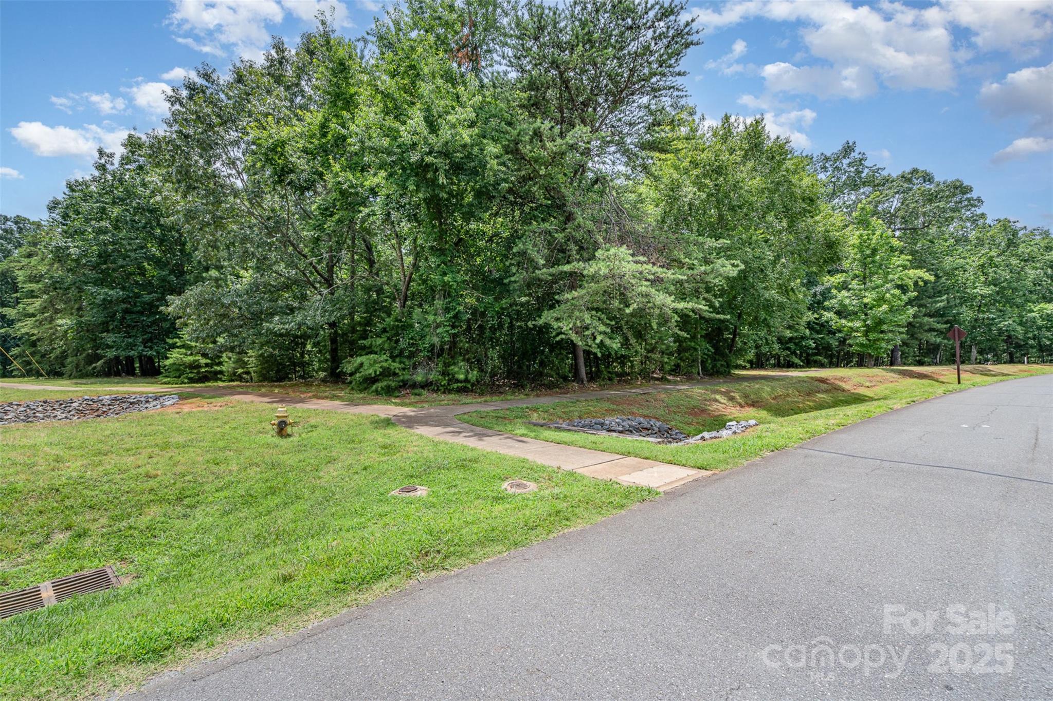14229 Roe Buck Meadow Lane Property Photo 20