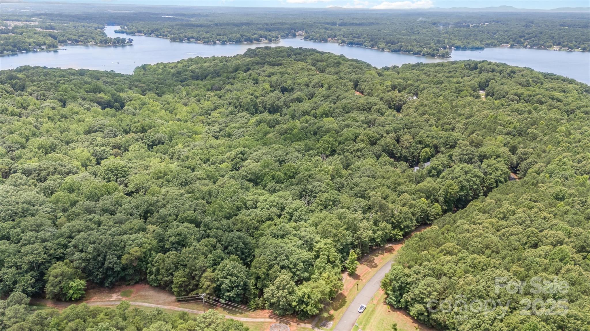 14229 Roe Buck Meadow Lane Property Photo 30