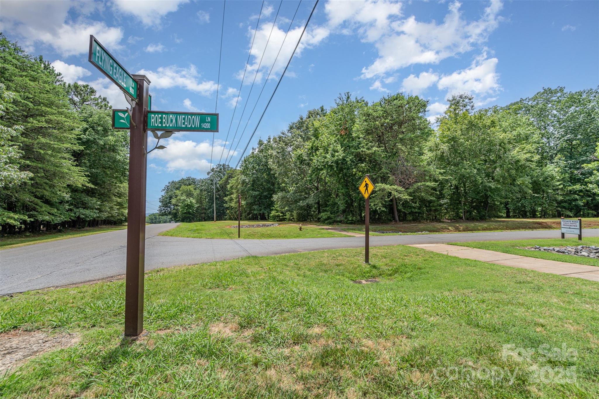14229 Roe Buck Meadow Lane Property Photo 33