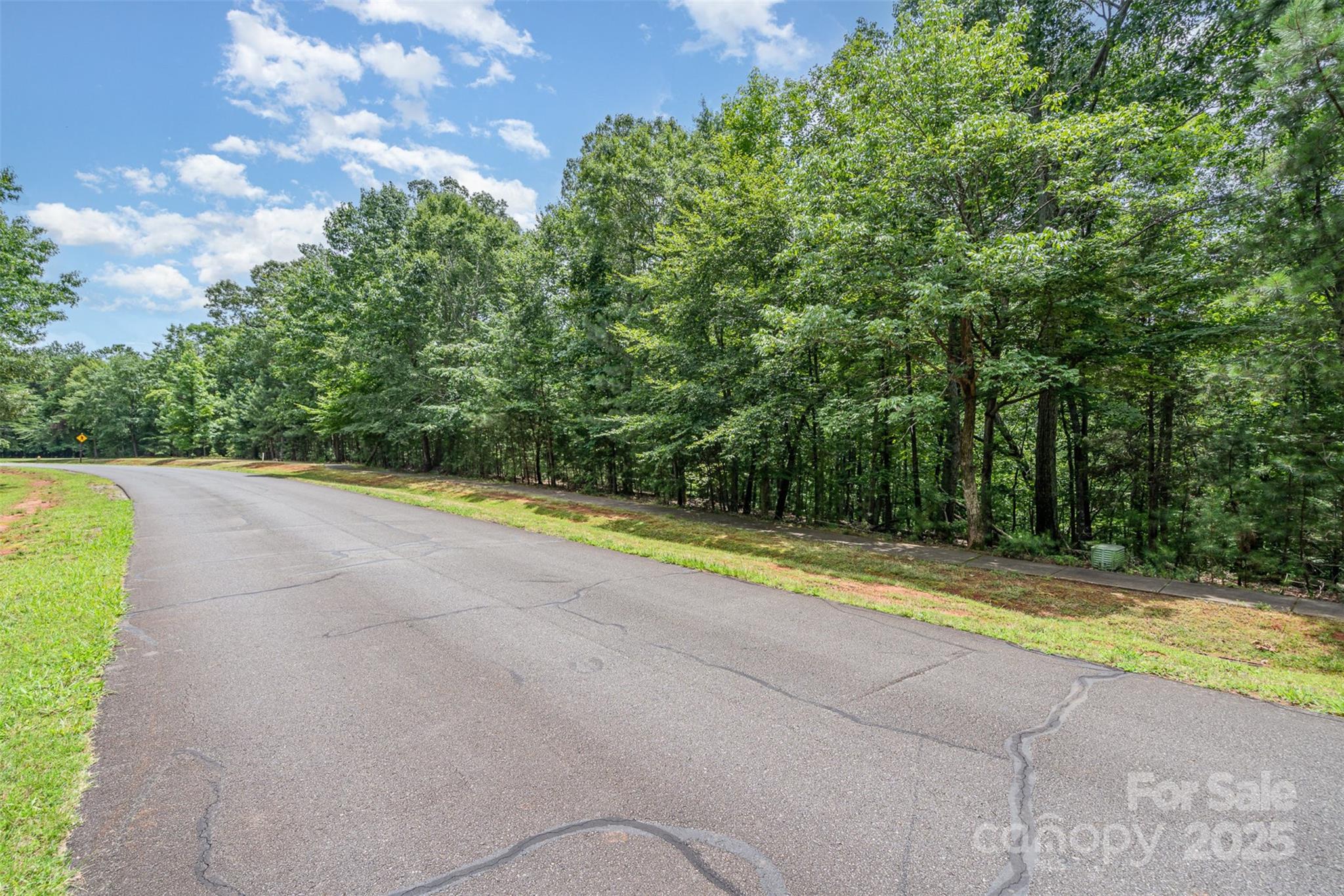 14229 Roe Buck Meadow Lane Property Photo 35