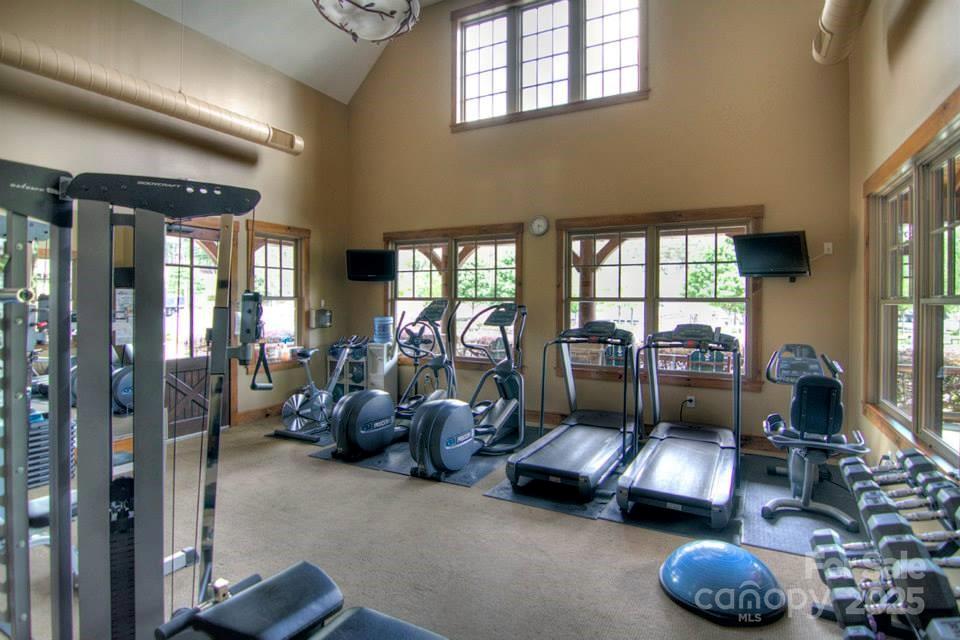 14229 Roe Buck Meadow Lane Property Photo 44