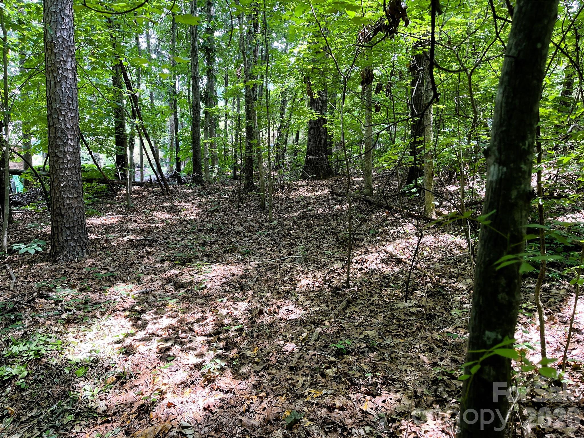 4225 Nicole Eileen Lane Property Photo 2