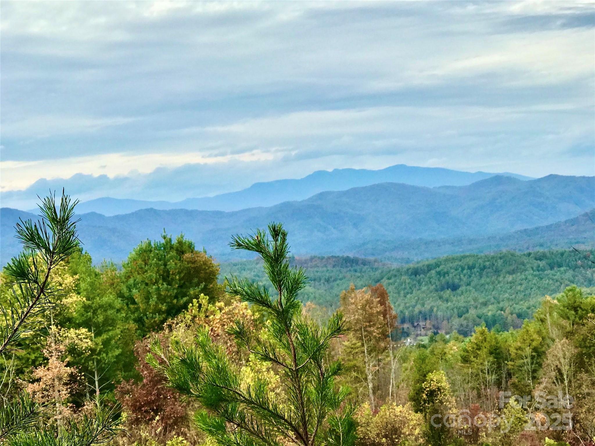 1.62 Acres Lot 204b Johns Ridge Parkway Lot 204b Property Photo