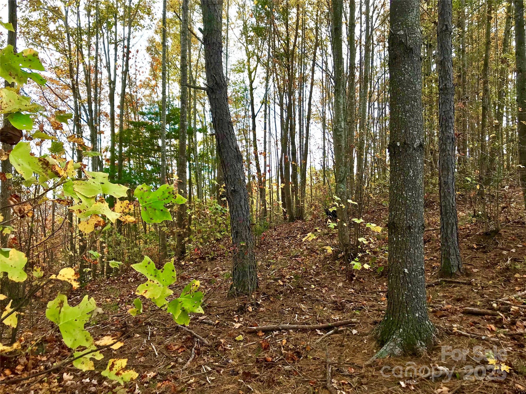 1.62 Acres Lot 204b Johns Ridge Parkway Lot 204b Property Photo 4