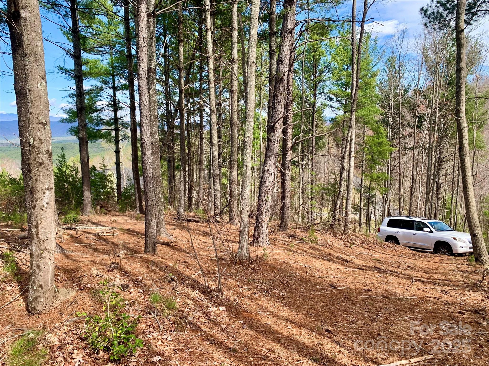 1.62 Acres Lot 204b Johns Ridge Parkway Lot 204b Property Photo 5