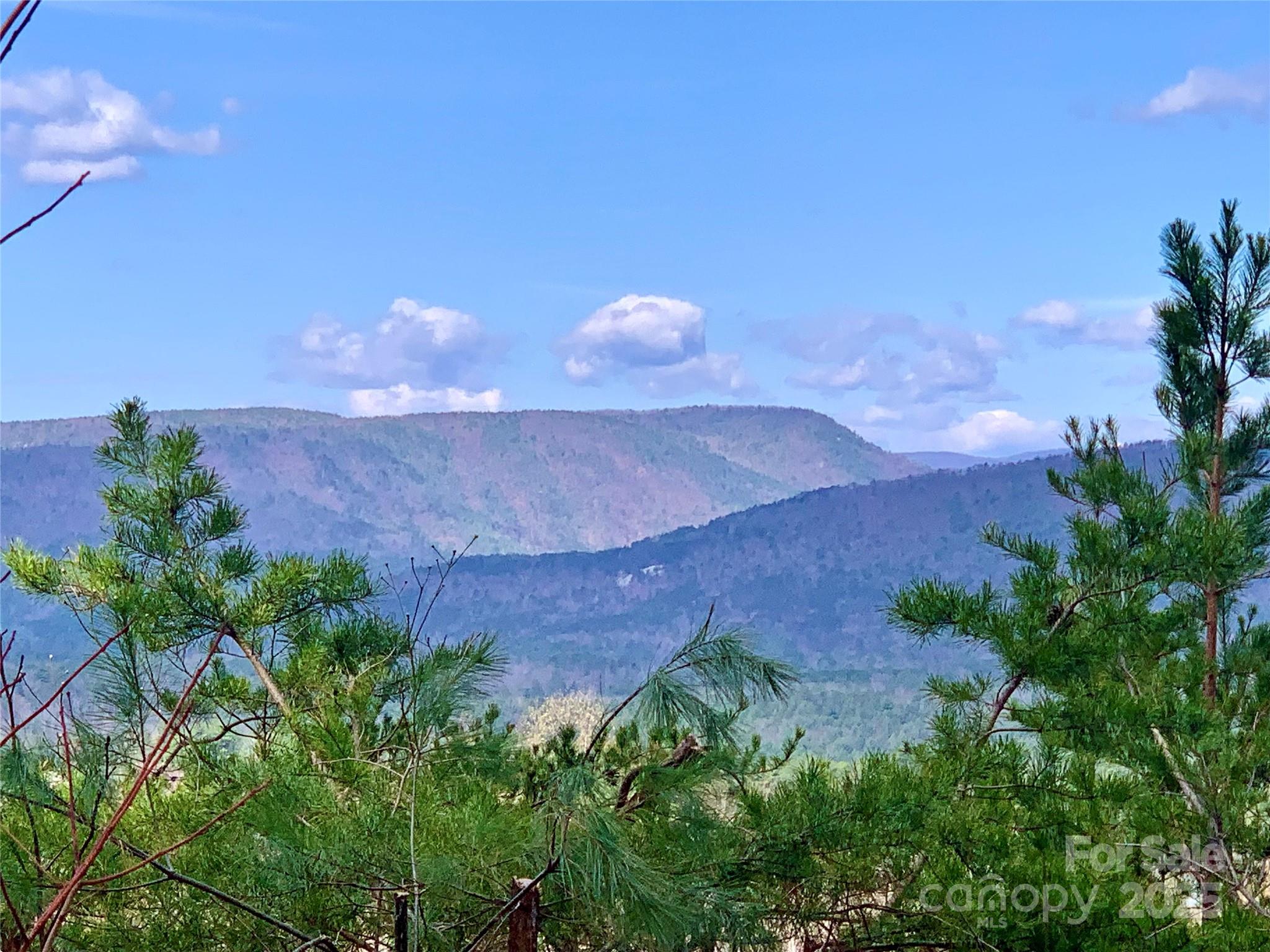1.62 Acres Lot 204b Johns Ridge Parkway Lot 204b Property Photo 7