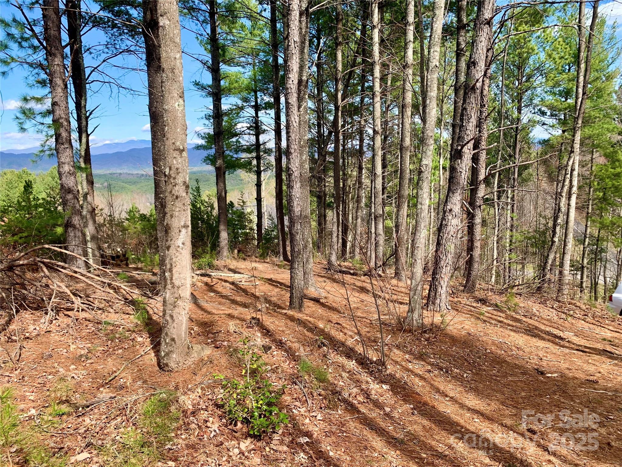 1.62 Acres Lot 204b Johns Ridge Parkway Lot 204b Property Photo 8